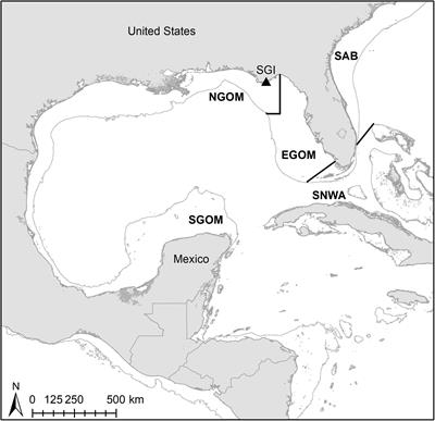 Epibionts Reflect Spatial and Foraging Ecology of Gulf of Mexico Loggerhead Turtles (Caretta caretta)